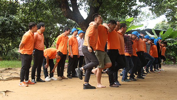 廣東防火棉廠家-以協作為基礎